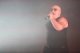 nitzer-ebb-05-2024-15