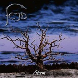 fejd_-_storm