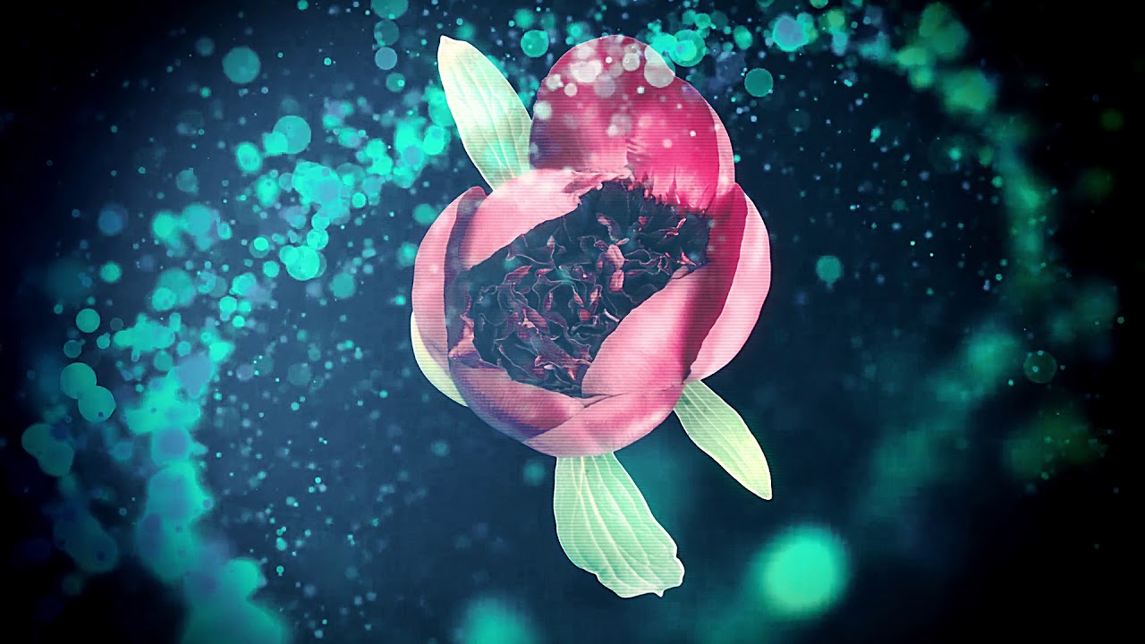 youtube placeholder image
